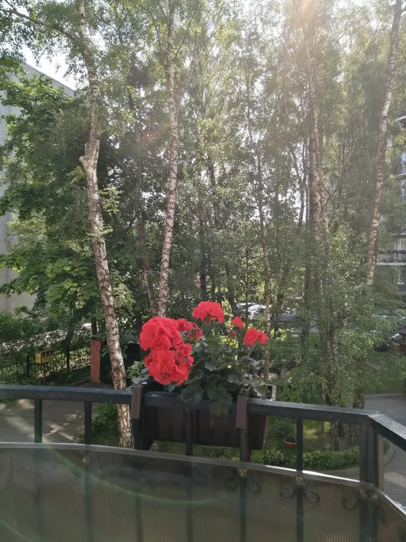 Уютная квартира у моря