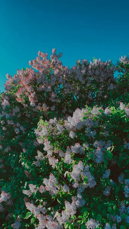 Домик у залива