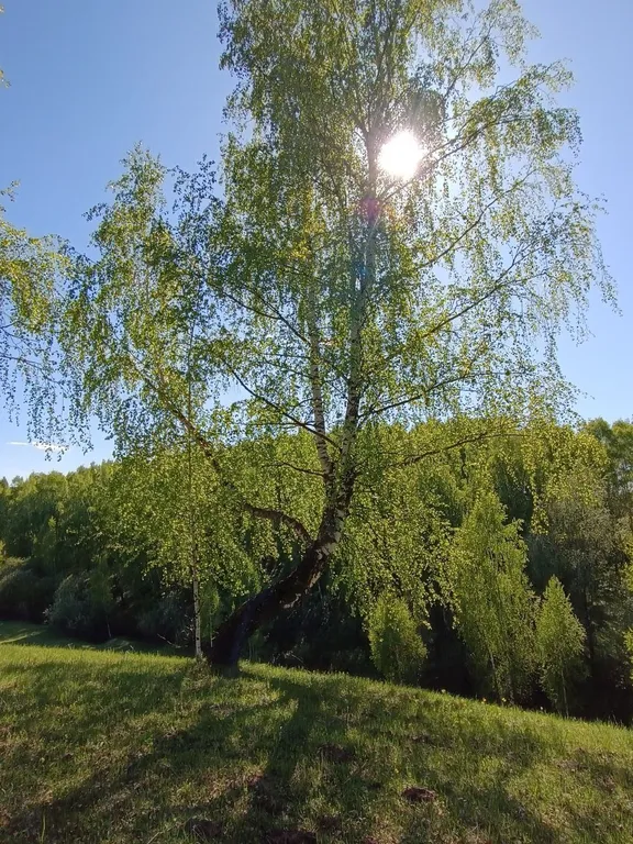 5-комнатный Дом