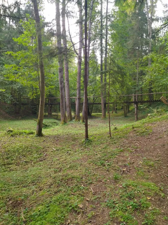 Коттедж Уютный дом в окружении векового леса — Рогачево