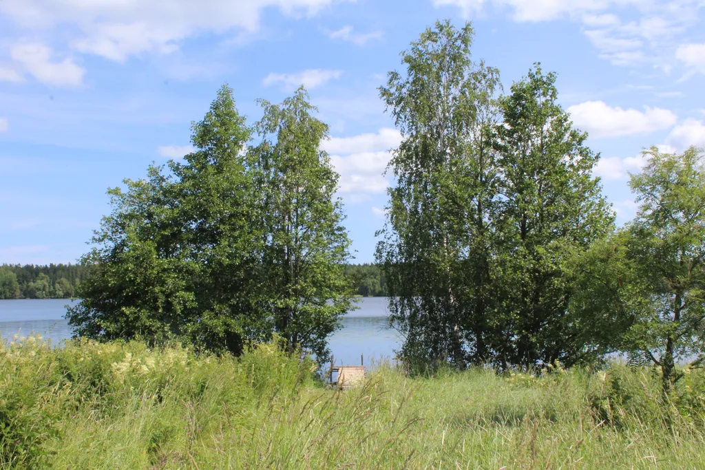 Коттедж 3-комнатный Дом — Приладожское