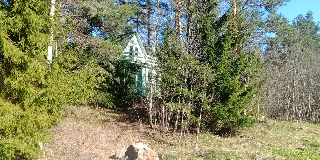 Коттедж Лесная сказка на берегу Ладоги — аренда посуточно в Куркиеки