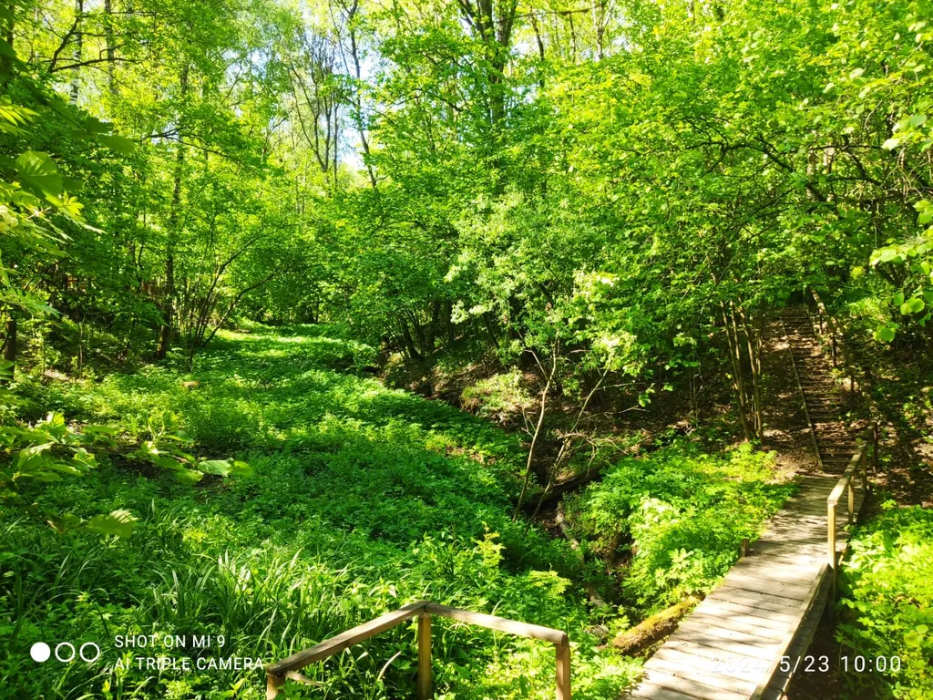 Новый стильный дом, большая лесная территория, недалеко от пруда с пляжем