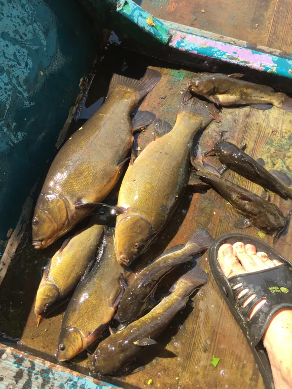 Усадьба На позитиве