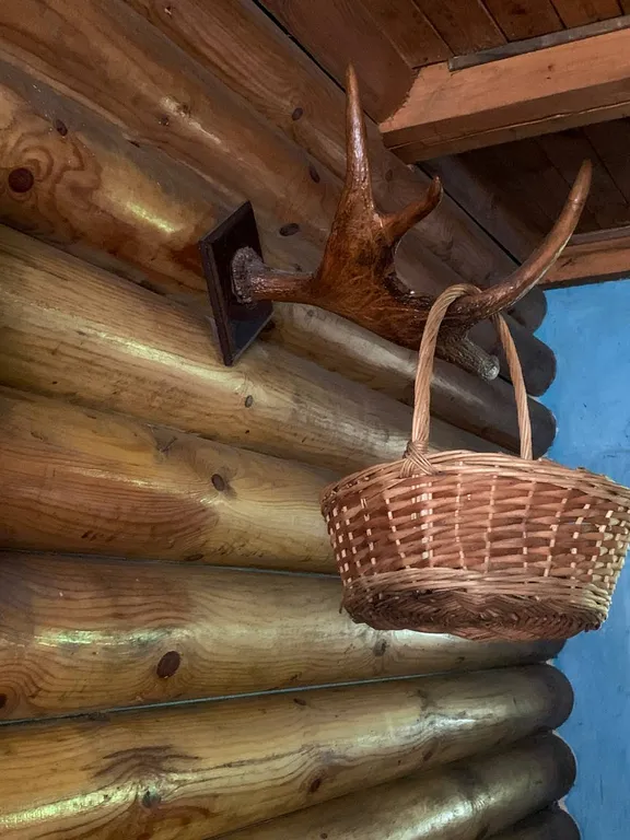 Большой дом с бассейном и диско, в ретро стиле около аэропорта Минск