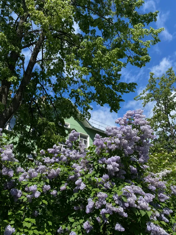 Квартира в 5 минутах от жд вокзала