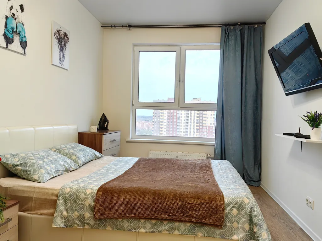 Однушка Цветная Гармония