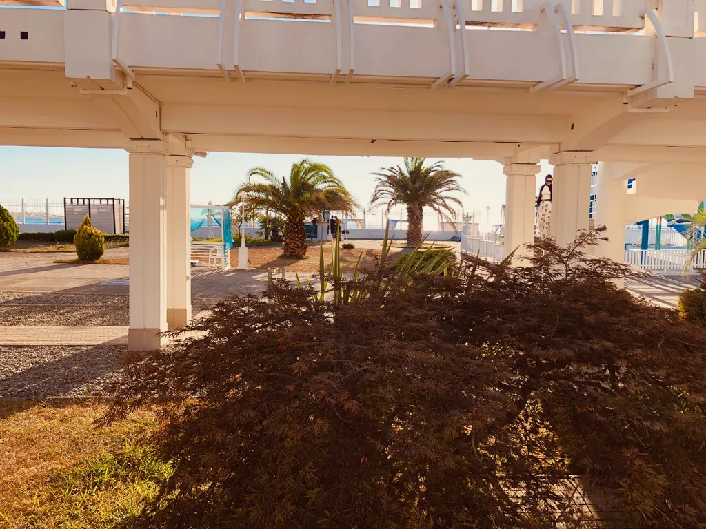 Квартира Апартаменты Светлана-Центр с видом на сад магнолий — Сочи