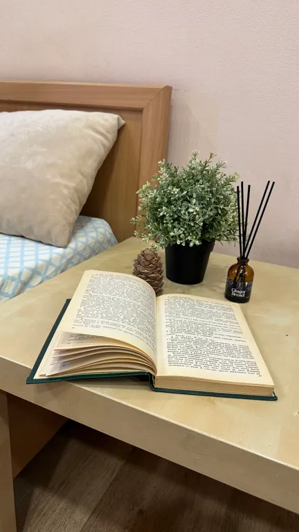 Комфортабельные и просторные апартаменты в центре Мурманска