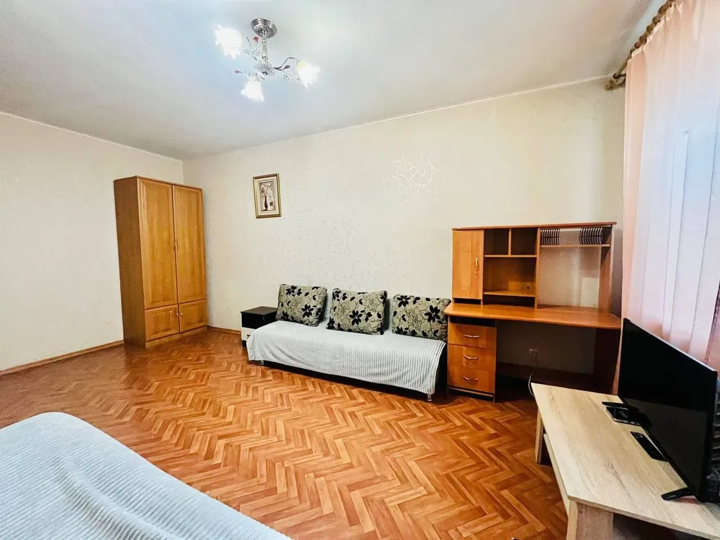 Просторная однокомнатная квартира