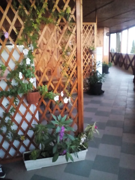 Видовая студия с террасой вид на море и горы