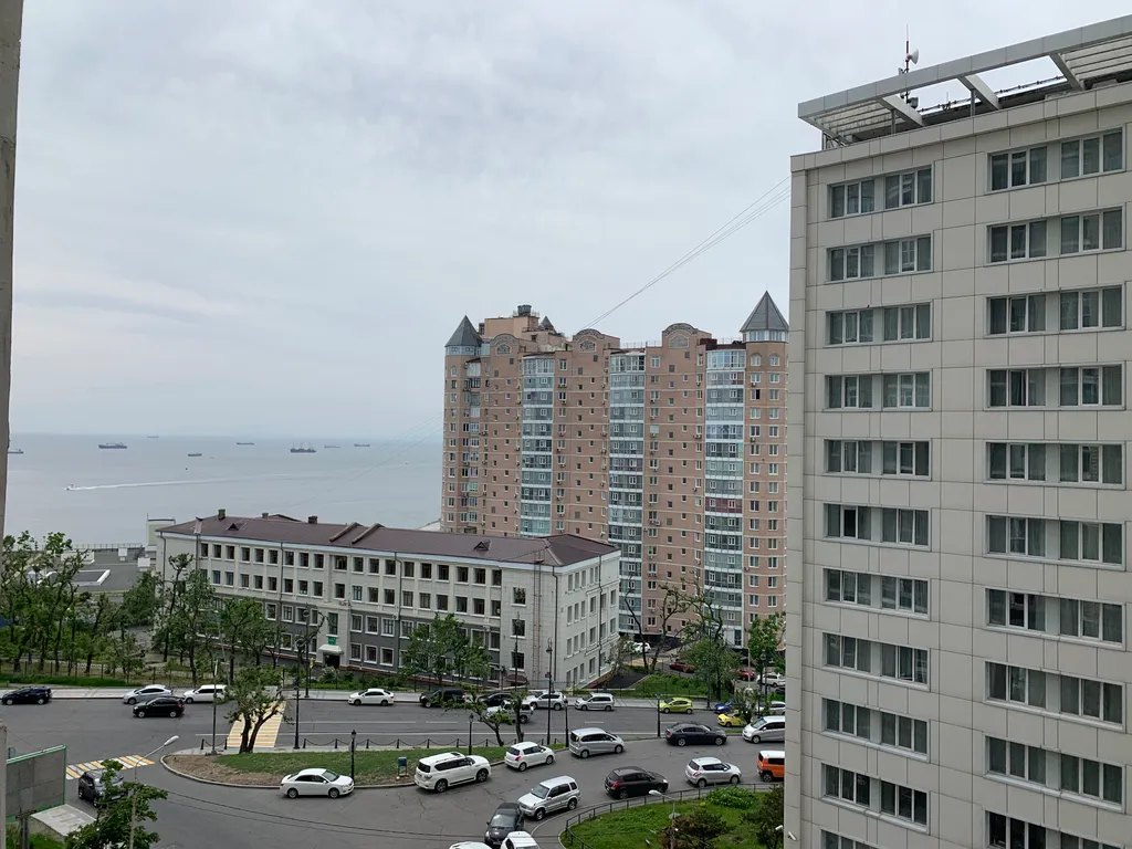 Тигровая новая