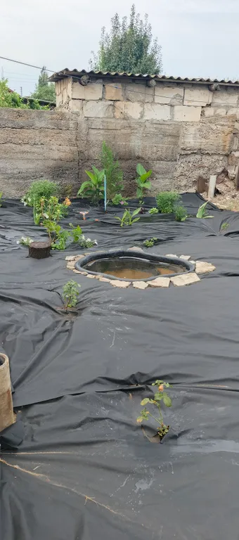 Частный дом недалеко от железнодорожного вокзала