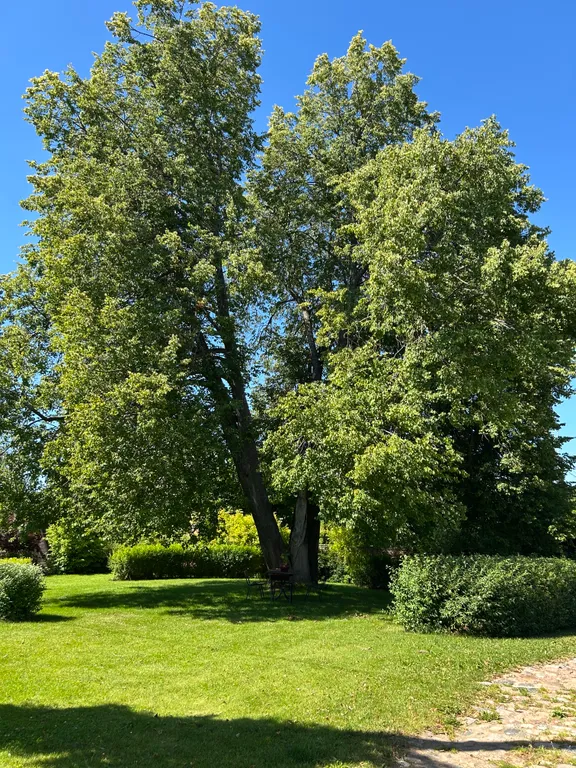 АРТ-усадьба Дольче Вита