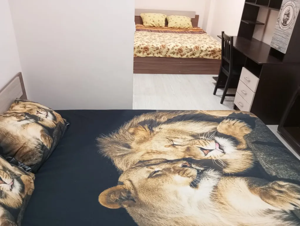 Квартира Уютная двушка в центре — аренда посуточно в Архангельск