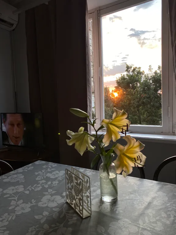 Уютная квартира в центре города