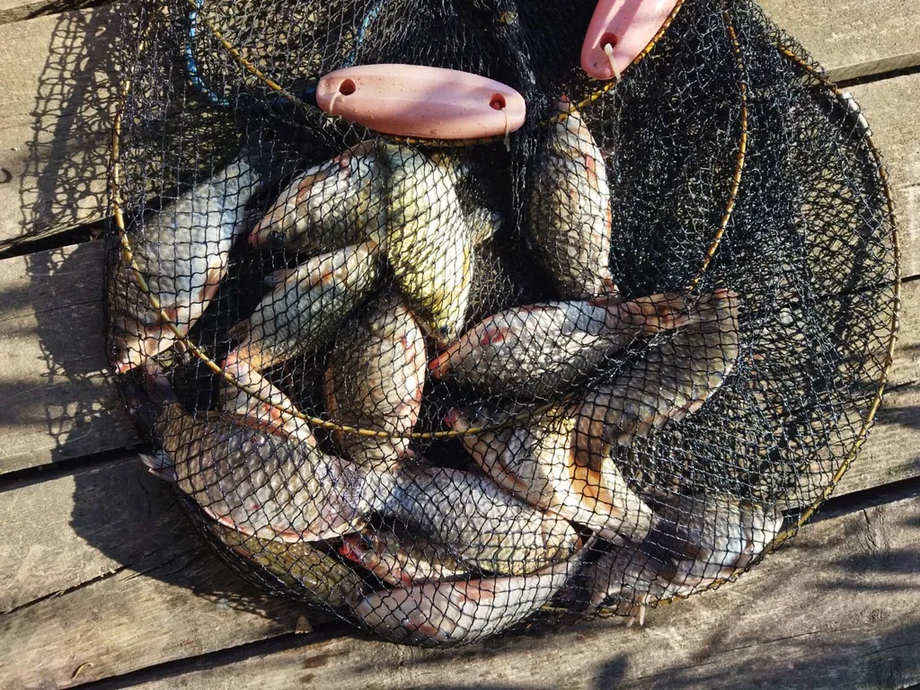 Новый дом-сруб у реки в живописном месте, баня, банный чан, рыбалка