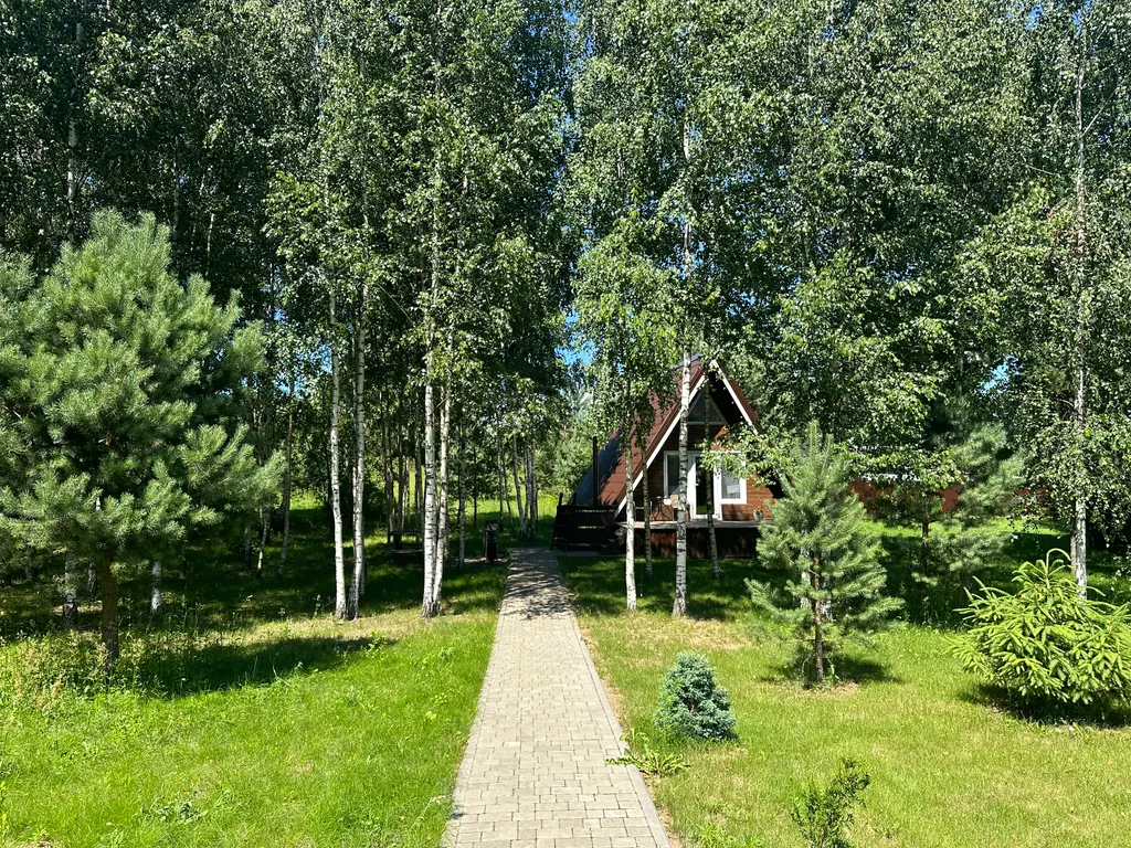 Уютный Афрейм в лесной деревушке под Минском