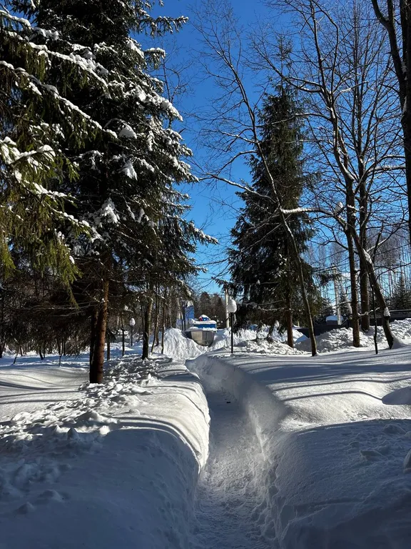 Коттедж Дом с баней и чаном в окружении леса и выходом к реке — Шадрино