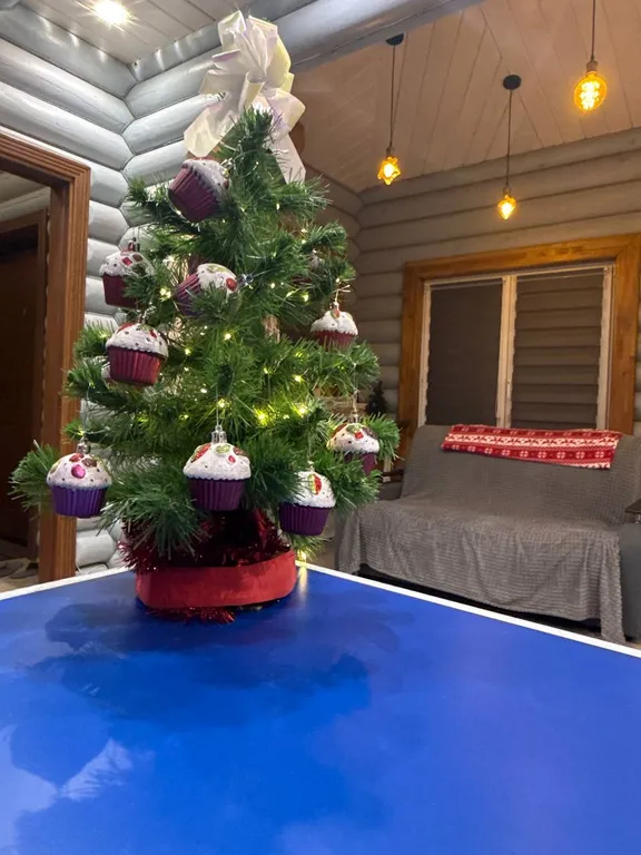 Дом из бревна с русской баней