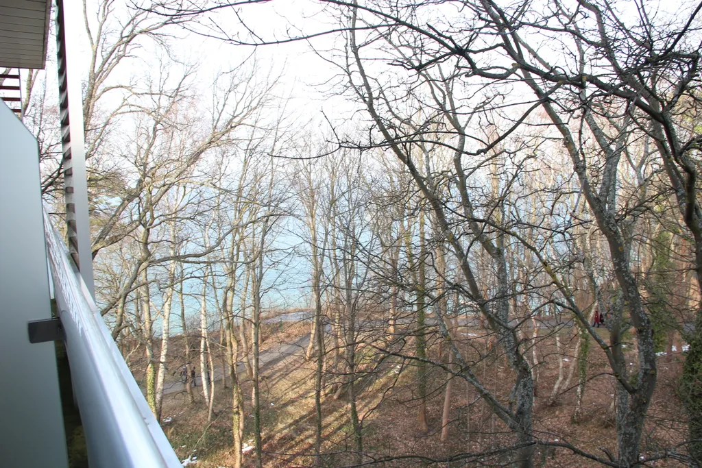 Раушен Престиж 22