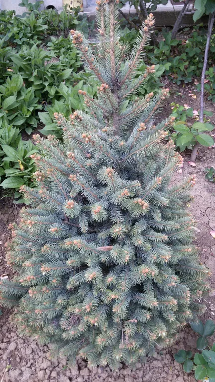 Квартира Уютная квартира  в центре города возле парка Дендрарий одна на этаже. — Сочи