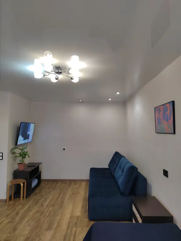 Уютная однокомнатная квартира рядом с аэропортом Толмачёво