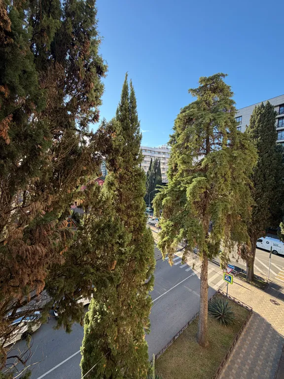 Квартира Квартира в самом сердце Адлера в пешей доступности до моря — Адлер