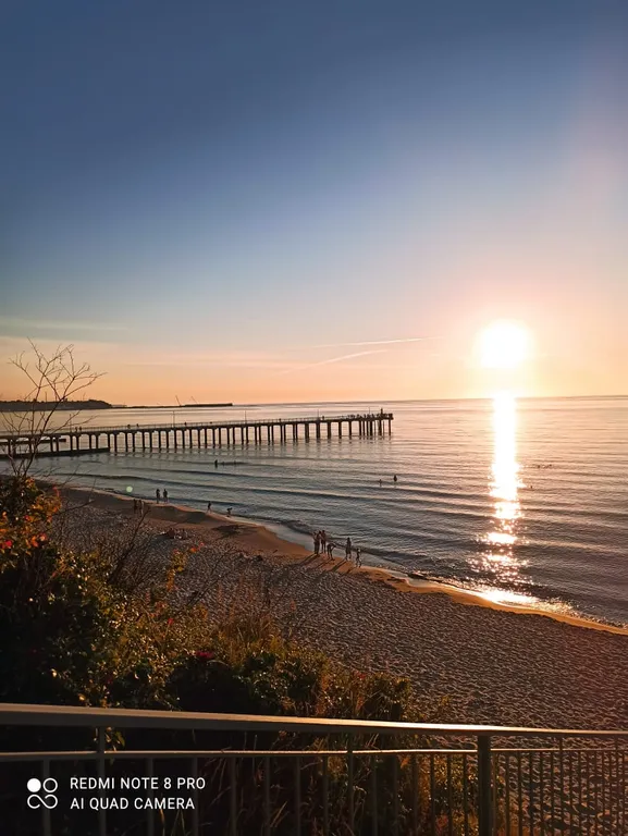 Уютный дом на побережье, на опушке соснового бора