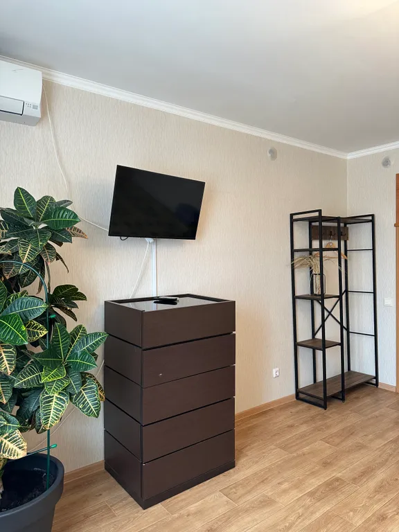 Уютная и просторная однокомнатная квартира в центре