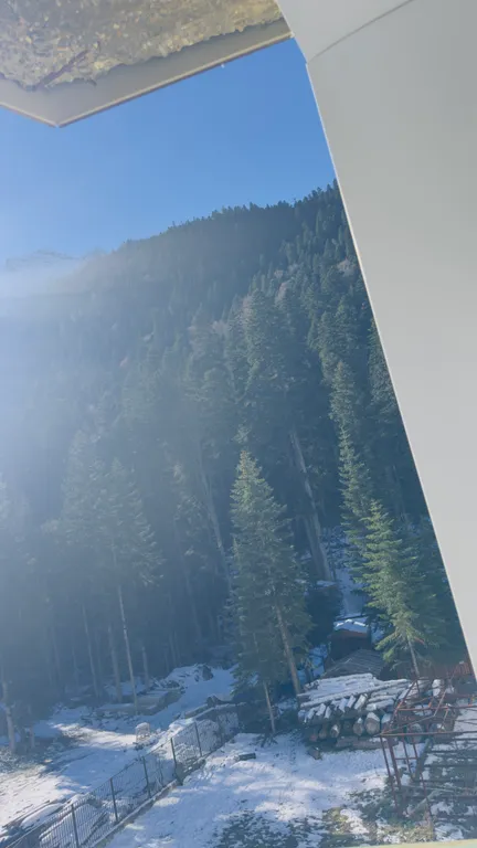 Уютная квартира Виктория