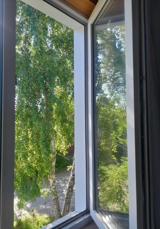 Большая квартира в центре