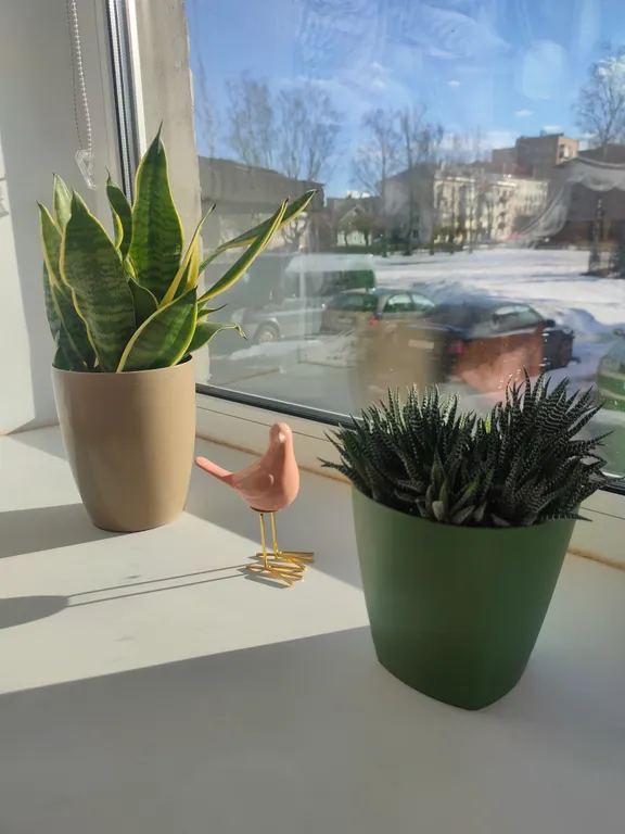 Цветик-семицветик