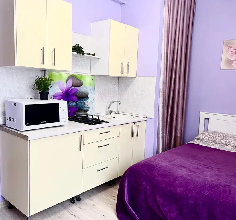 Уютная студия в центре