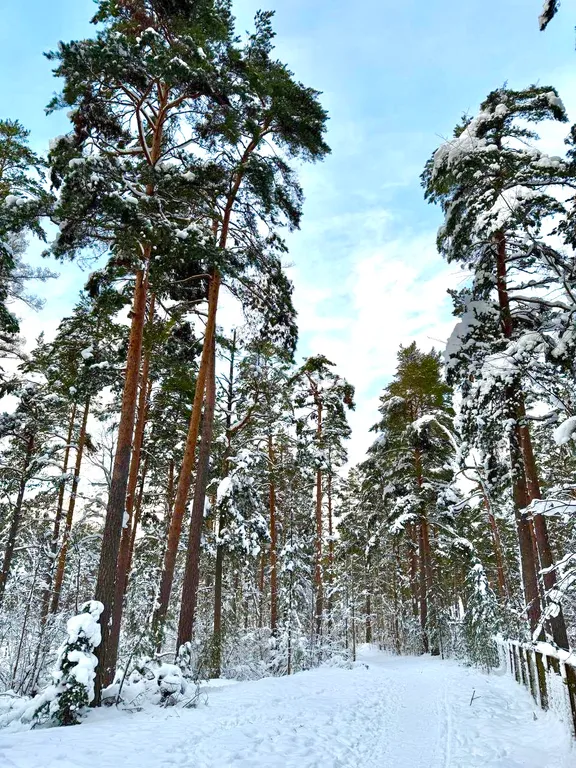 Коттедж Ладога Life — Коккорево