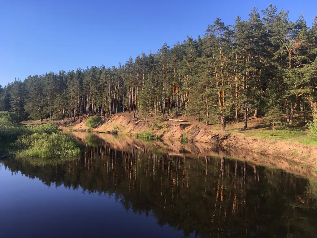 Дом в лесу на берегу реки Пра