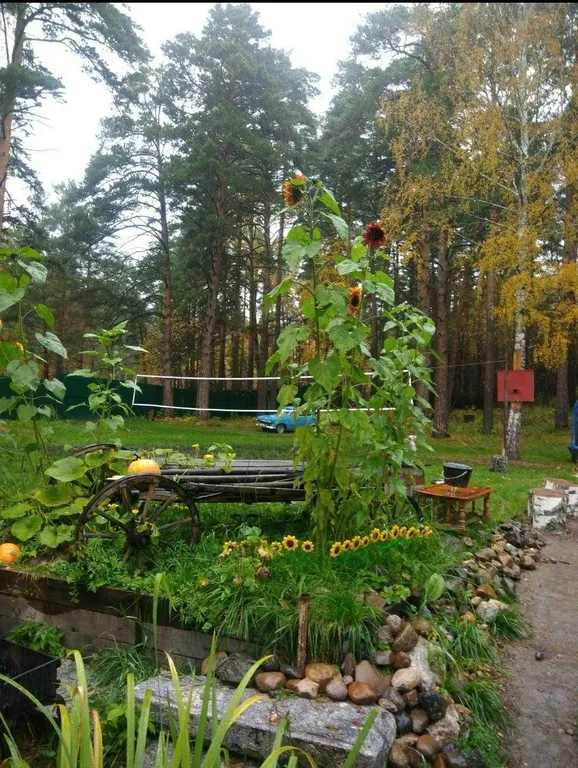 Уютный Дом в Лесу в Аникино