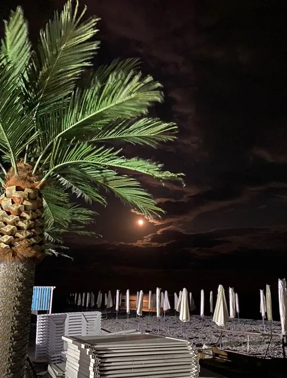 Квартира Квартира Открытое море — Геленджик