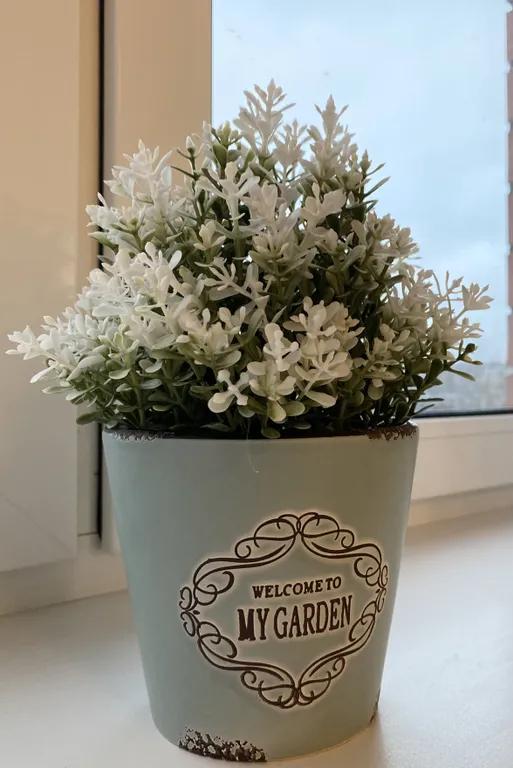 Студия Версаль