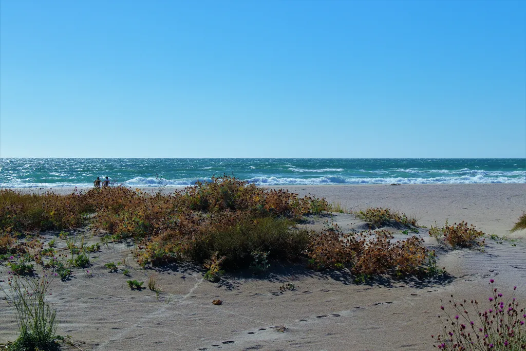 Домик с видом на море