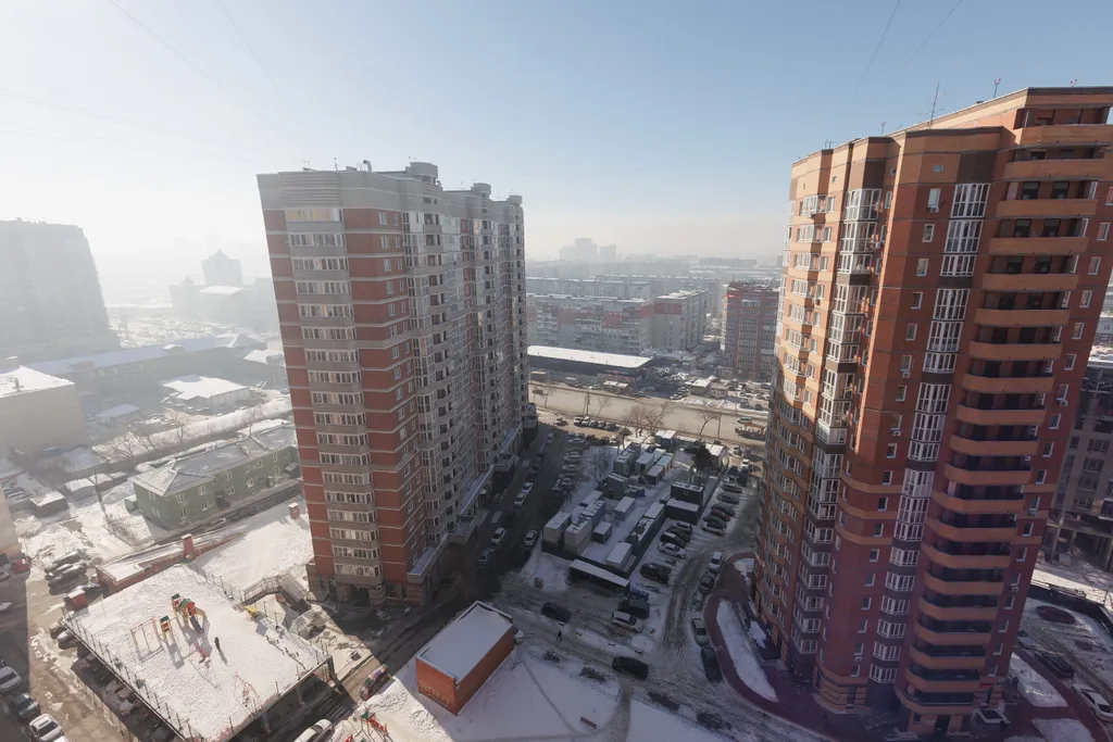 Уютная квартира, Зоопарк