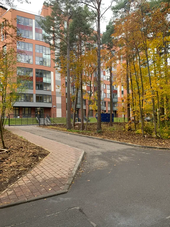 Студия с видом на сосны в Зеленогорске, закрытая территория