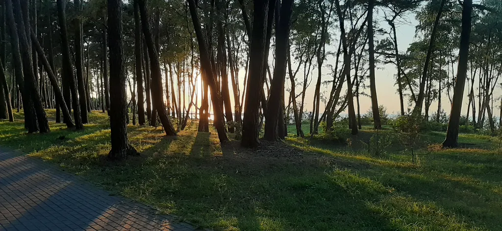 Апартаменты пио