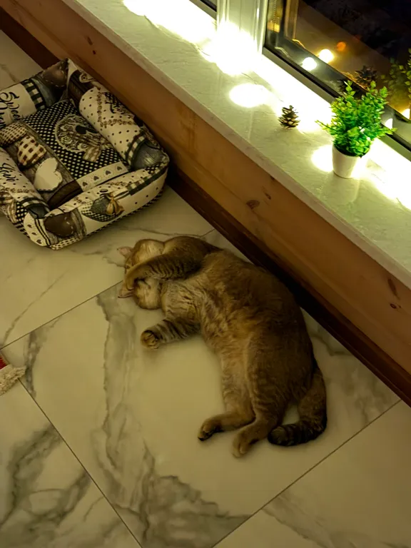 Роскошный эко дом Аквамарин с террасой у водопада и леса