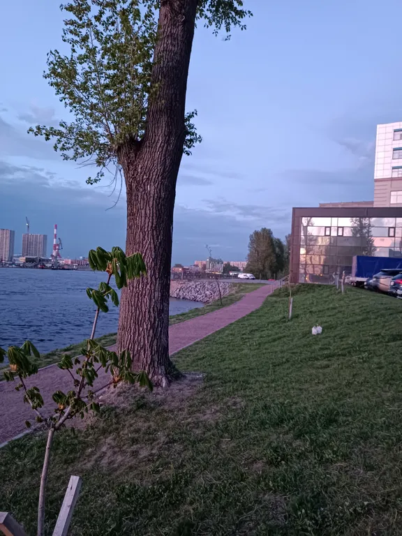 Квартира 3-комнатная Квартира — Санкт-Петербург