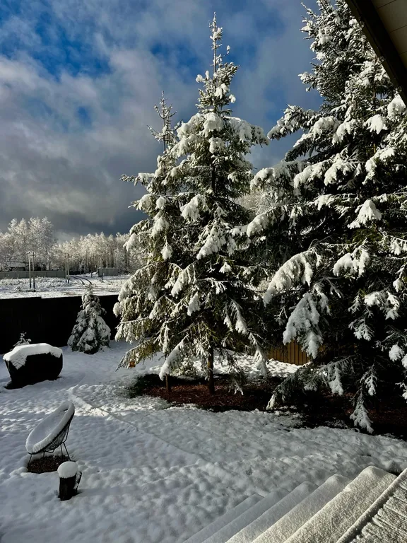 Уютный дом барн в лесу