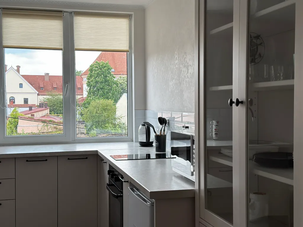 Просторная студия с видом на старинный Гродно