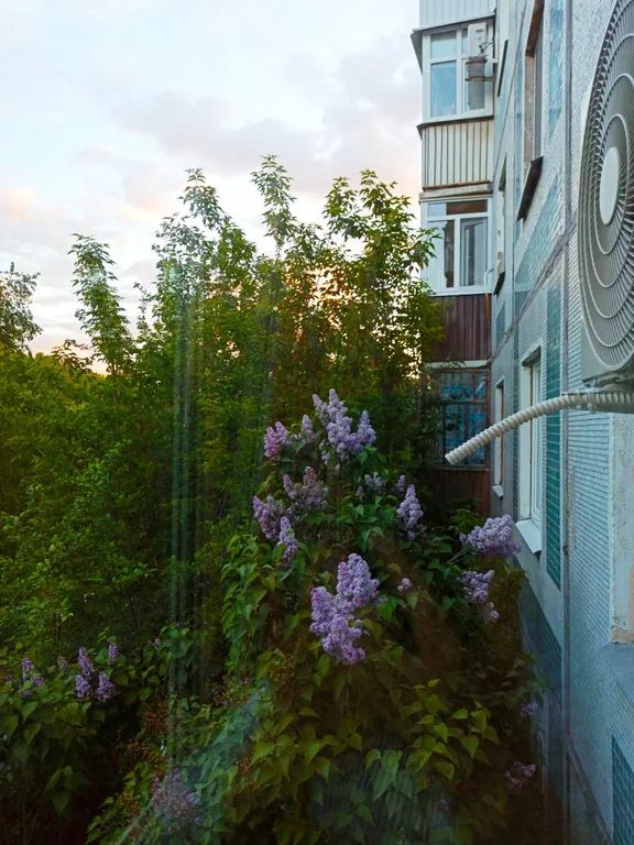 Квартира 1-комнатная Квартира — Казань