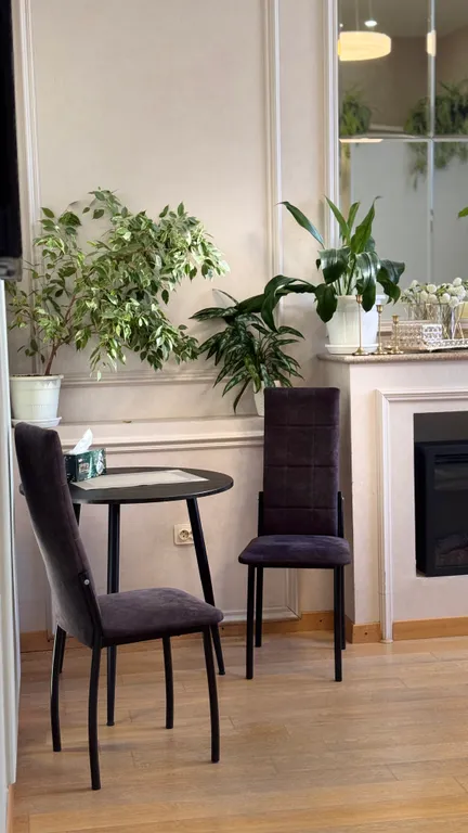 Апартаменты в центре Хабаровска (камин)