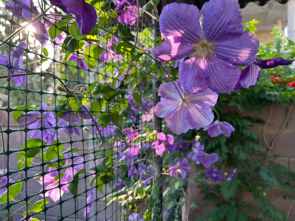 Двухкомнатный дом с кухней на 2 этаже